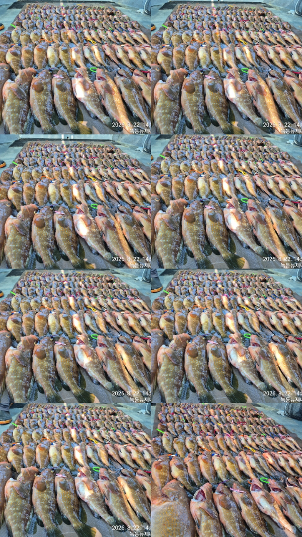 31635.jpg