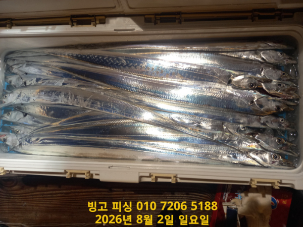 KakaoTalk_20260802_125547631_14.jpg