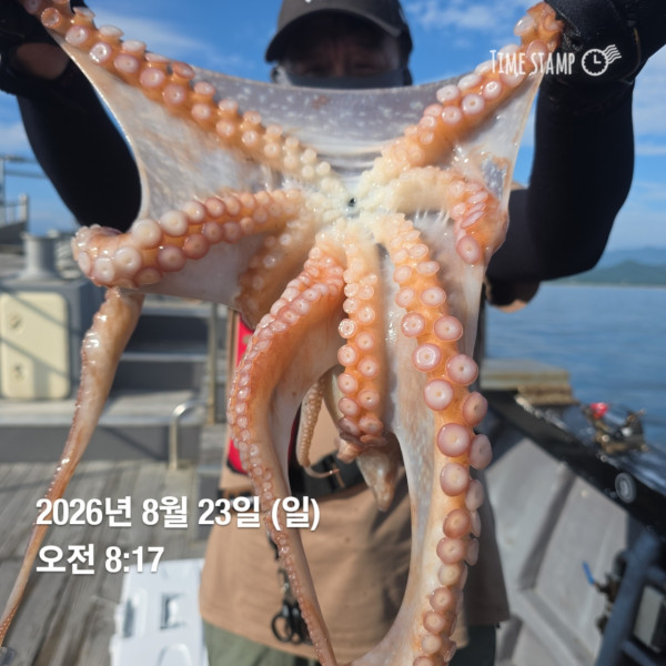 공현진낚시마트(돌핀호)_사진_20260823_1.jpg