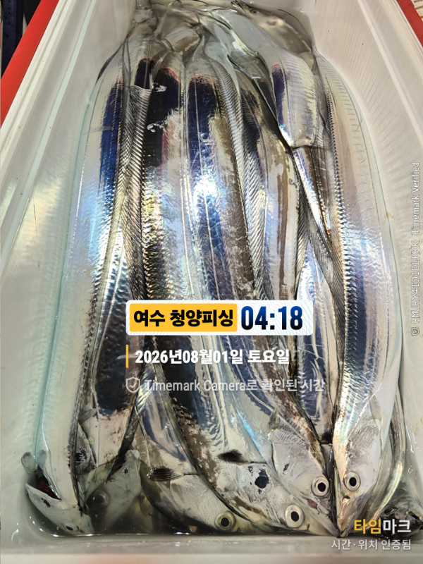 2026-08-01 04.18.57__(제목-여수 청양피싱).jpg
