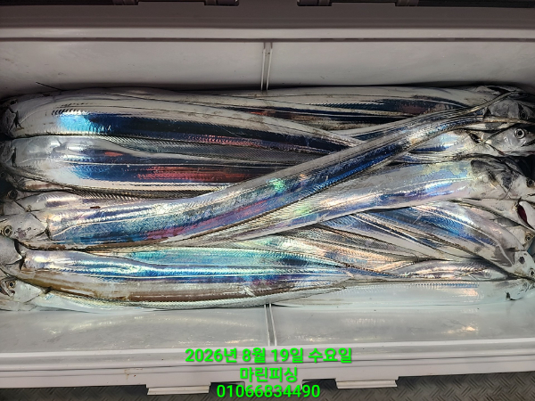 KakaoTalk_20260819_082359906.jpg