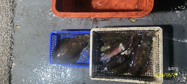 DateCamera0829233119.jpg