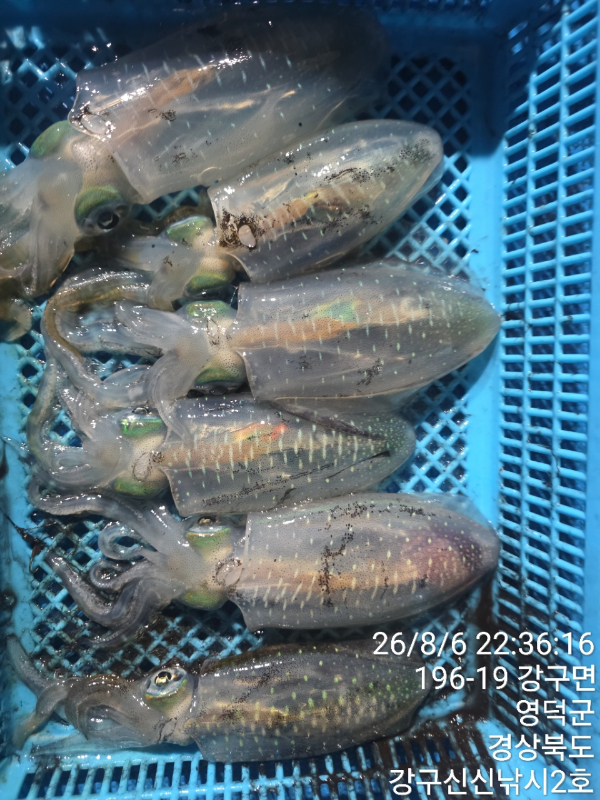 신신낚시 강구점 신신호_사진_20260807_11.jpg