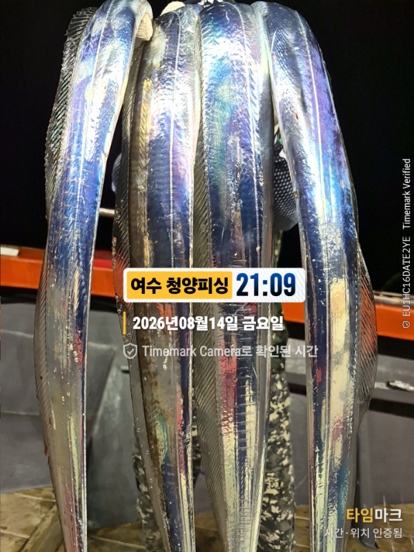 2026-08-14 21.09.42__(제목-여수 청양피싱).jpg