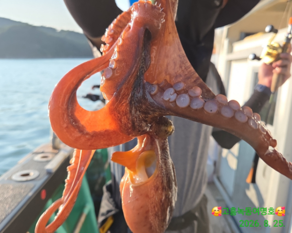 쎄븐피싱클럽(선상 버스출조전문)_사진_20260826_14.jpg