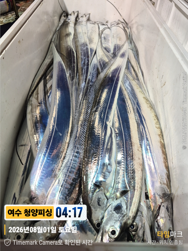 2026-08-01 04.17.56__(제목-여수 청양피싱).jpg