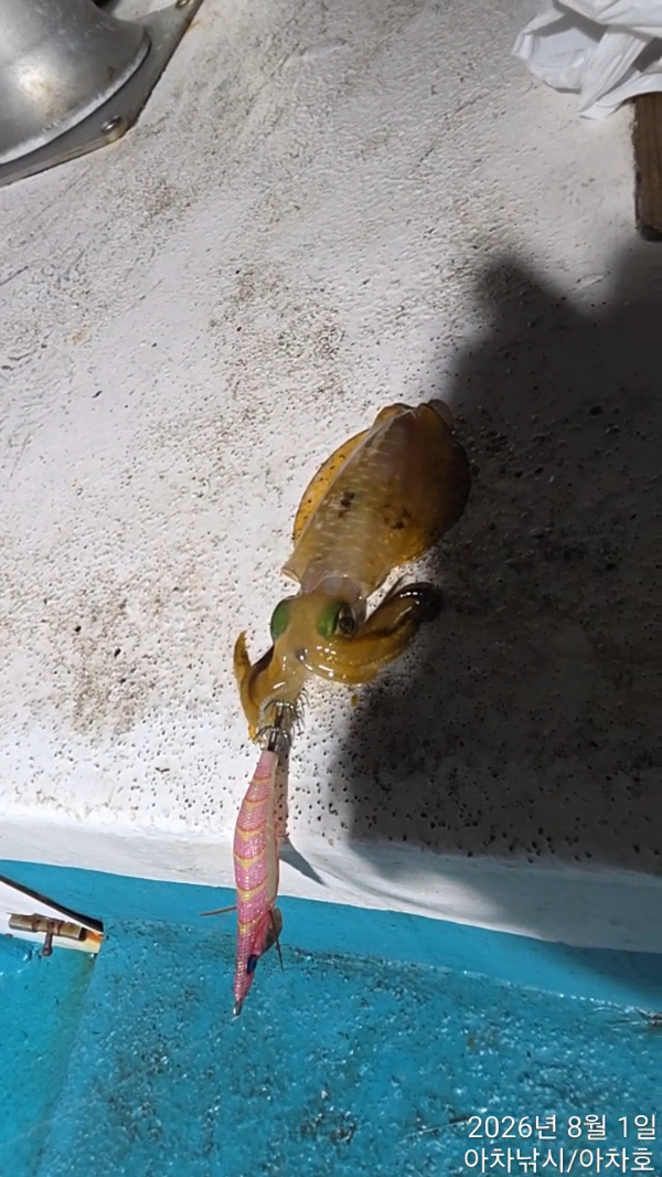 TimeVideo_20260801_220408.jpg