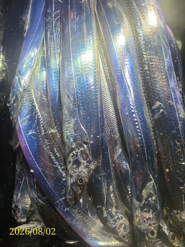 1785622749442.jpg