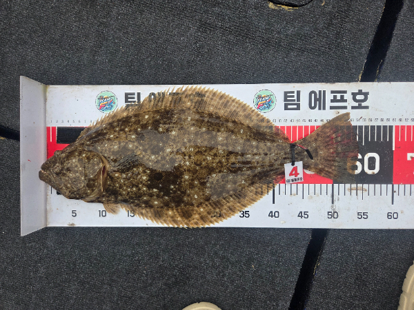 KakaoTalk_20260803_011532390_21.jpg