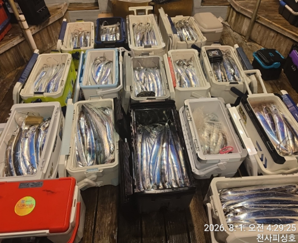 1004피싱_사진_20260801_3.jpg
