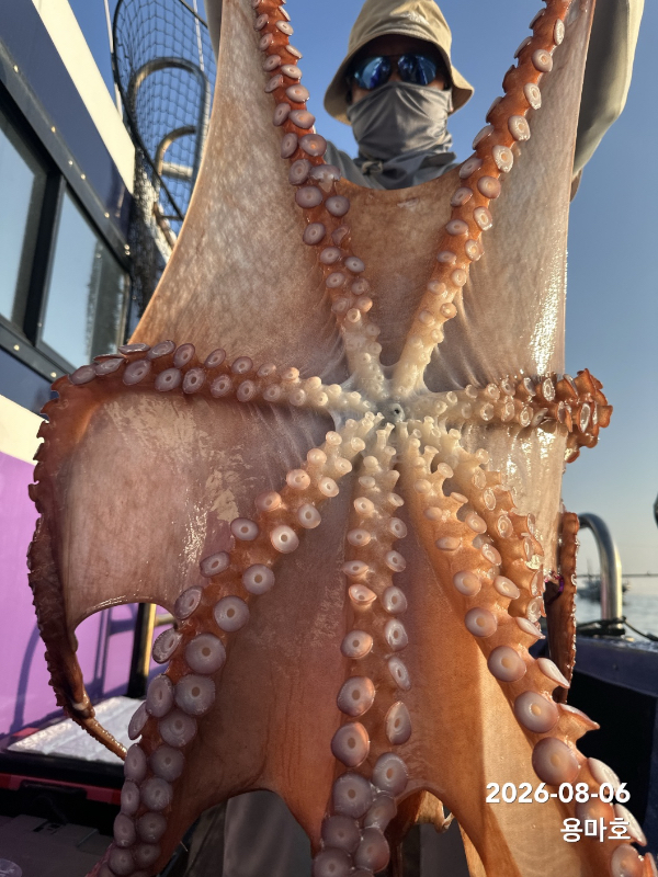 IMG_7008.jpeg