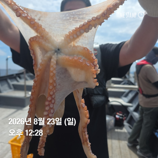 공현진낚시마트(돌핀호)_사진_20260823_5.jpg