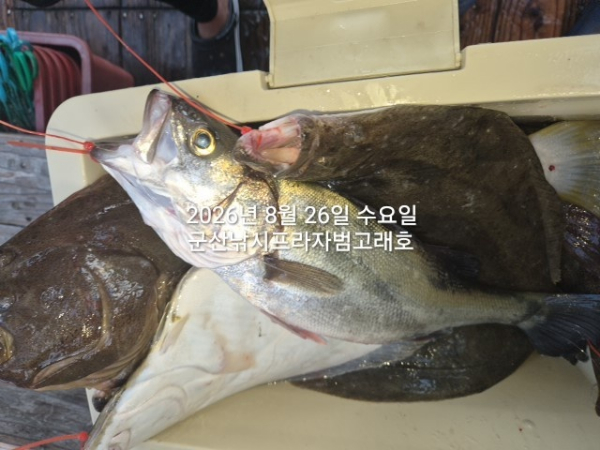 KakaoTalk_20260826_181129045_02.jpg