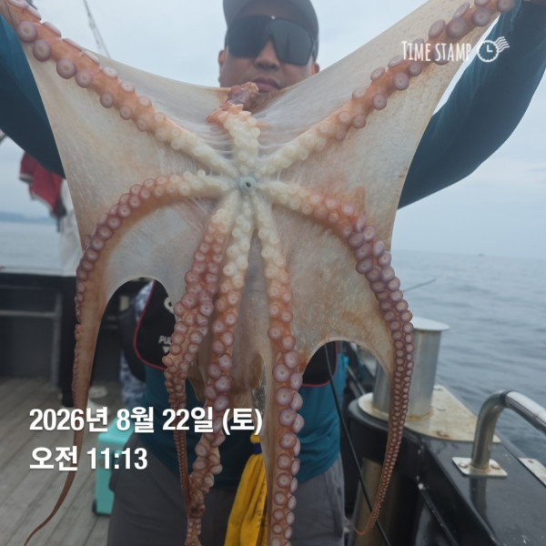 공현진낚시마트(돌핀호)_사진_20260822_2.jpg