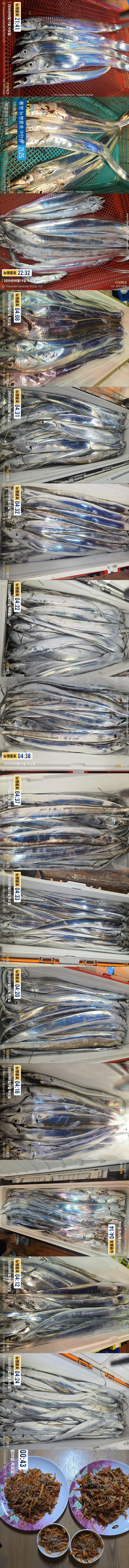 8-20갈치2.jpg