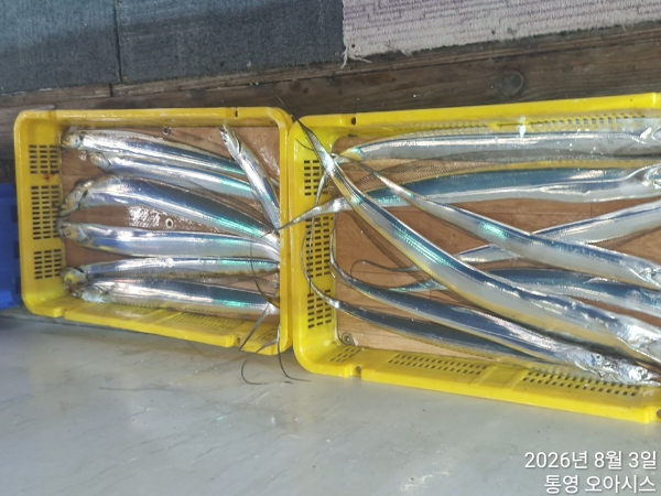 80244.jpg