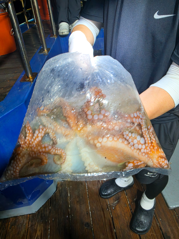 20260803_224705.jpg