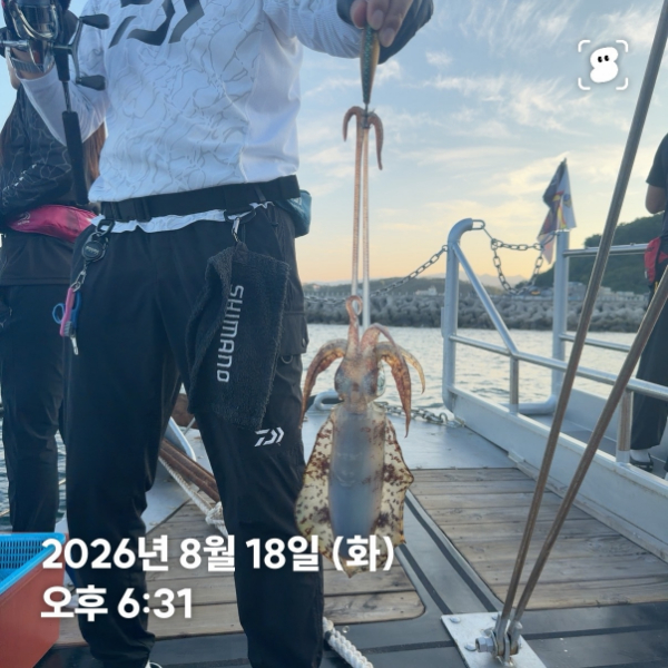 신신낚시 강구점 신신호_사진_20260819_20.jpg