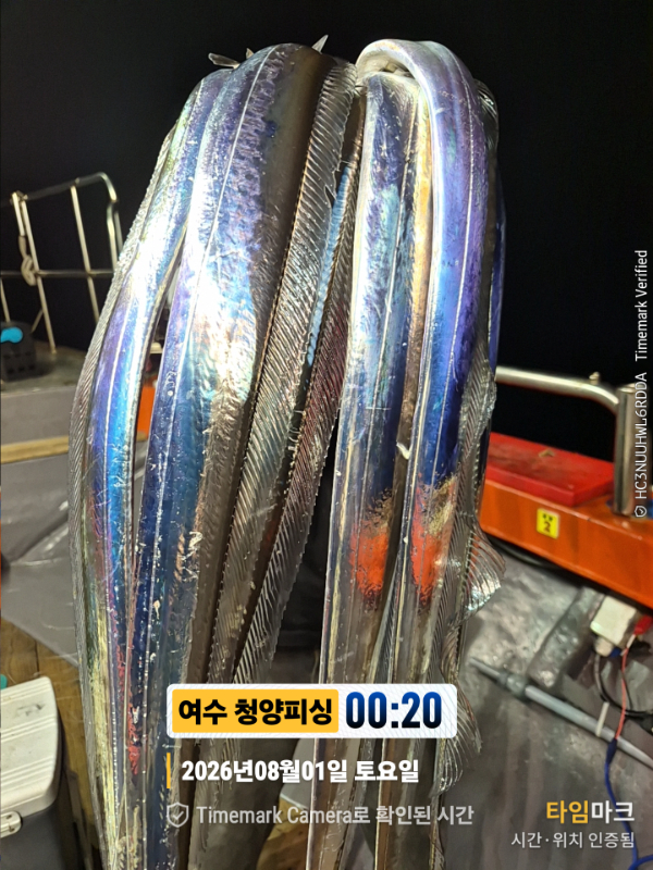 2026-08-01 00.20.48__(제목-여수 청양피싱).jpg