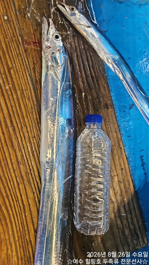 1787794194538.jpg