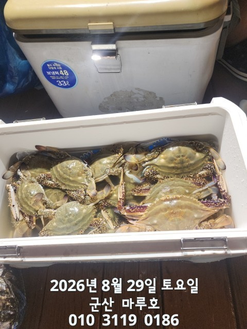 KakaoTalk_20260829_025523229.jpg