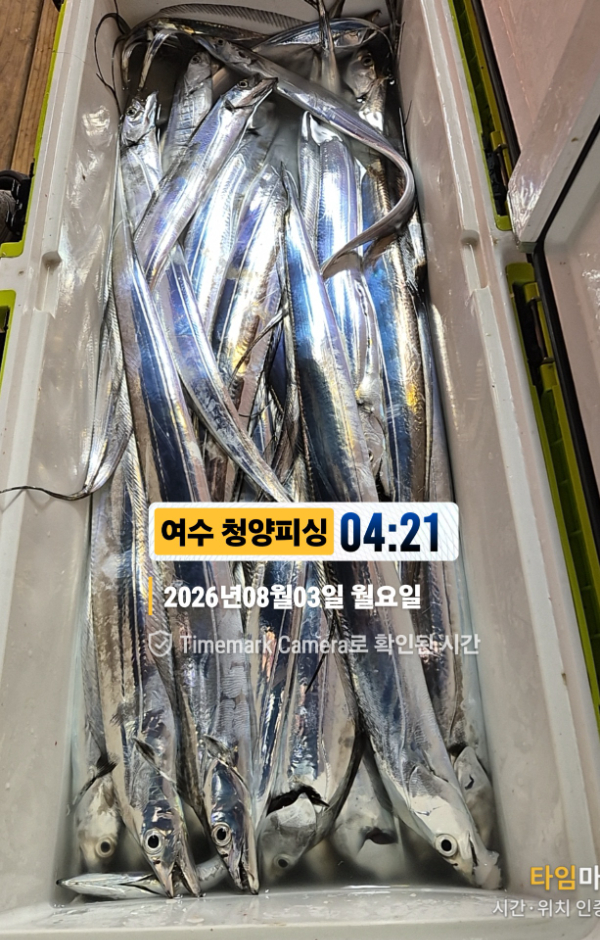2026-08-03 04.21.54__(제목-여수 청양피싱).jpg