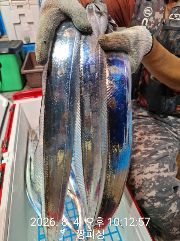 1000081435.jpg