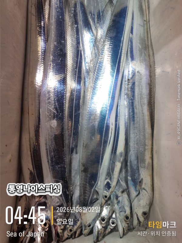 2026-08-02 04.45.17_Japan.jpg