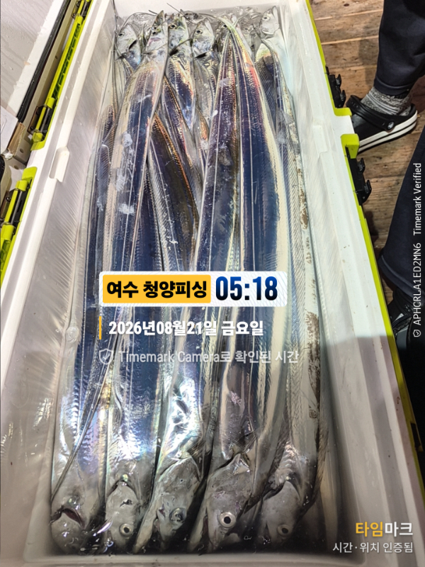 2026-08-21 05.18.31__(제목-여수 청양피싱).jpg