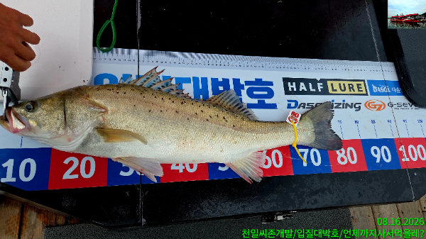 1000030216.jpg