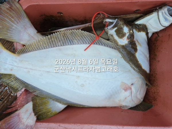 KakaoTalk_20260806_161146142_06.jpg