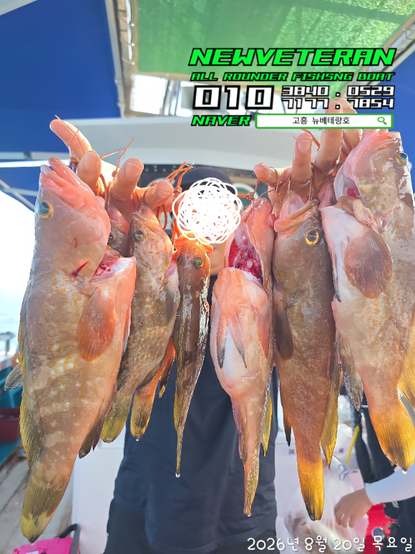 60410.jpg