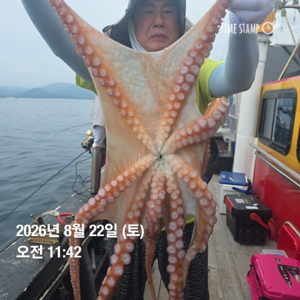 공현진낚시마트(돌핀호)_사진_20260822_1.jpg