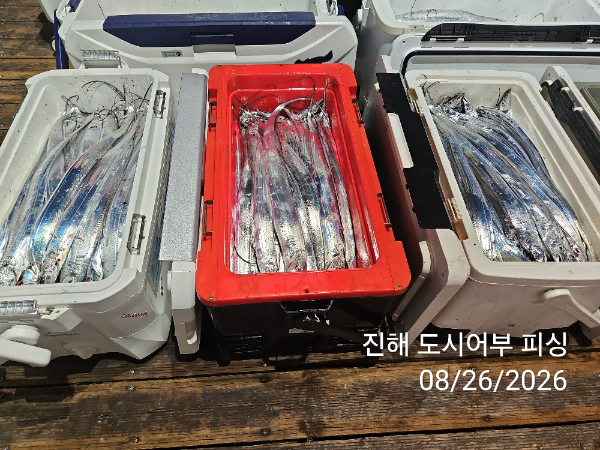 KakaoTalk_20260826_052535049_13.jpg