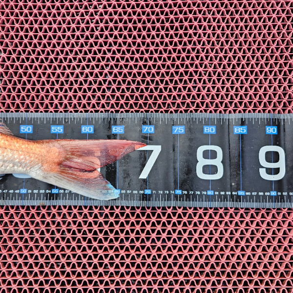 1000059164.jpg
