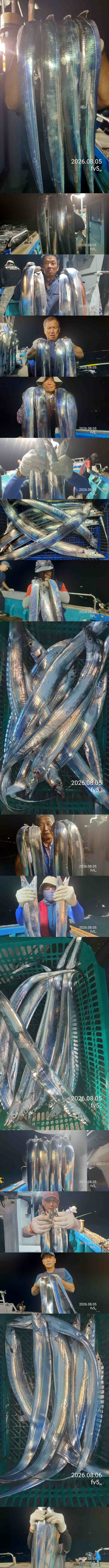 1111.jpg