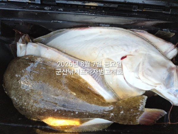 KakaoTalk_20260807_154956921_09.jpg
