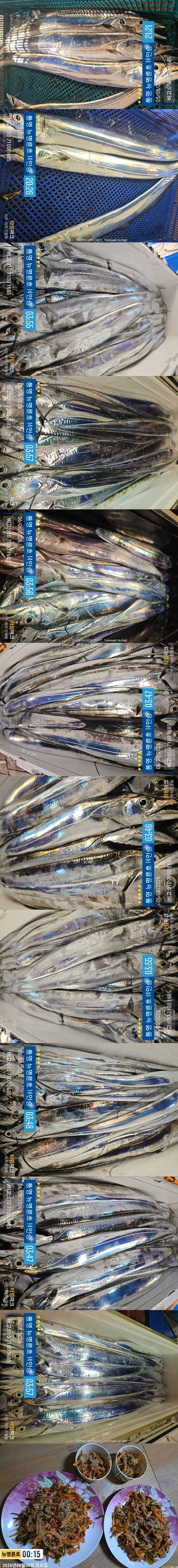 8-6갈치2.jpg