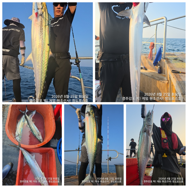PhotoCollage_1787749326195.jpg