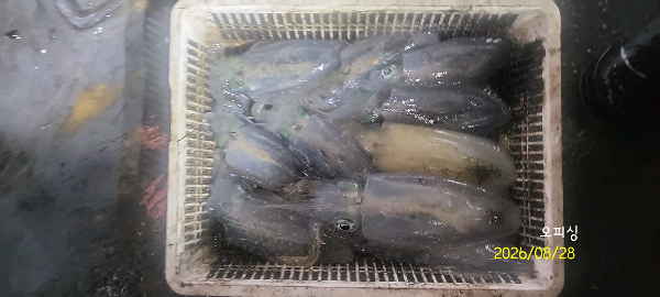 DateCamera0828233936.jpg