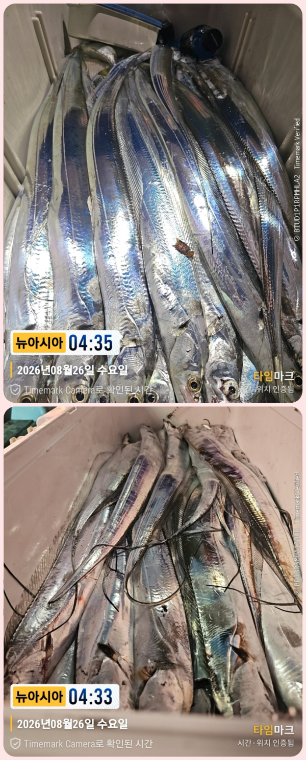 KakaoTalk_20260826_063013638_11-down.jpg
