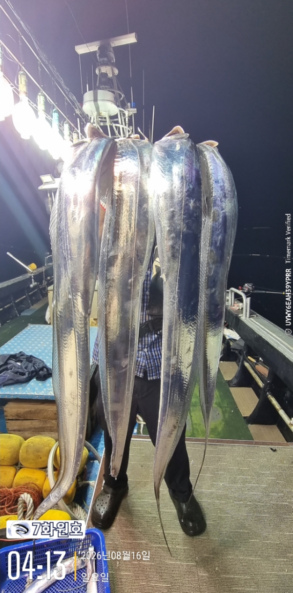 제주갈치낚시 화원호_사진_20260816_9.jpg