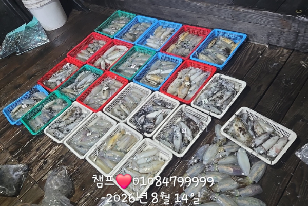 1000062132.jpg