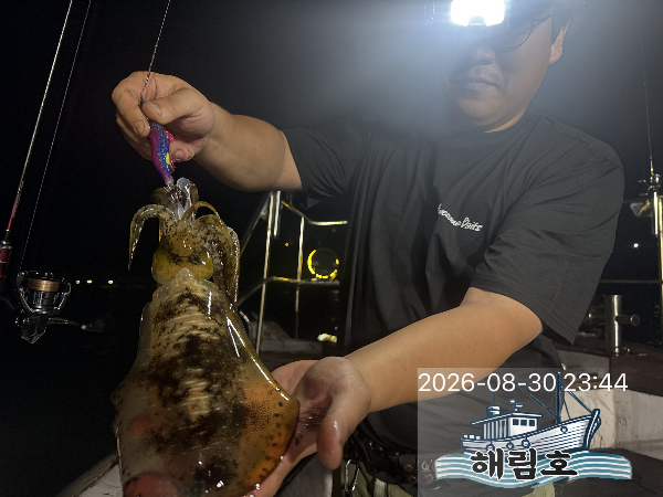 IMG_4509.jpeg