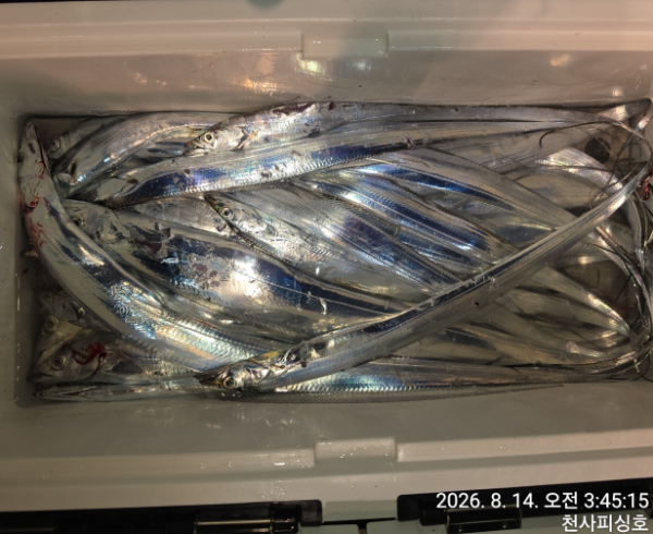 1004피싱_사진_20260814_12.jpg
