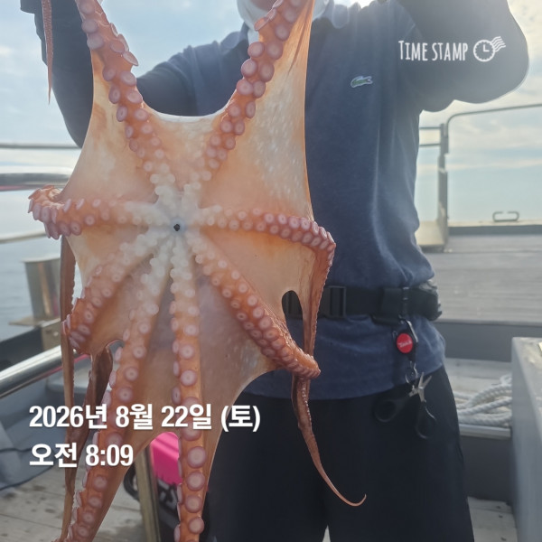 공현진낚시마트(돌핀호)_사진_20260822_3.jpg