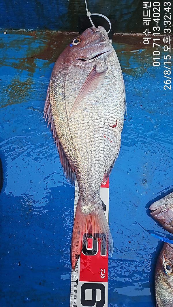 1000047357.jpg