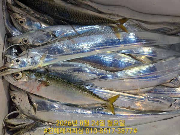 1000102273.jpg
