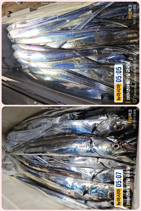 KakaoTalk_20260821_054121446_23-down.jpg