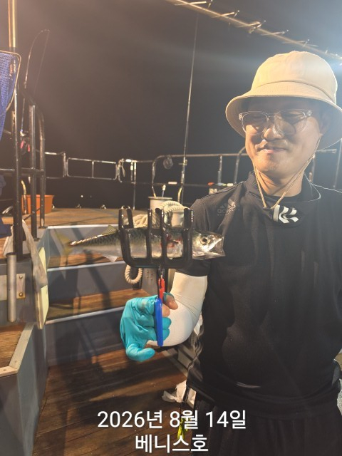 KakaoTalk_20260815_043820286_09.jpg